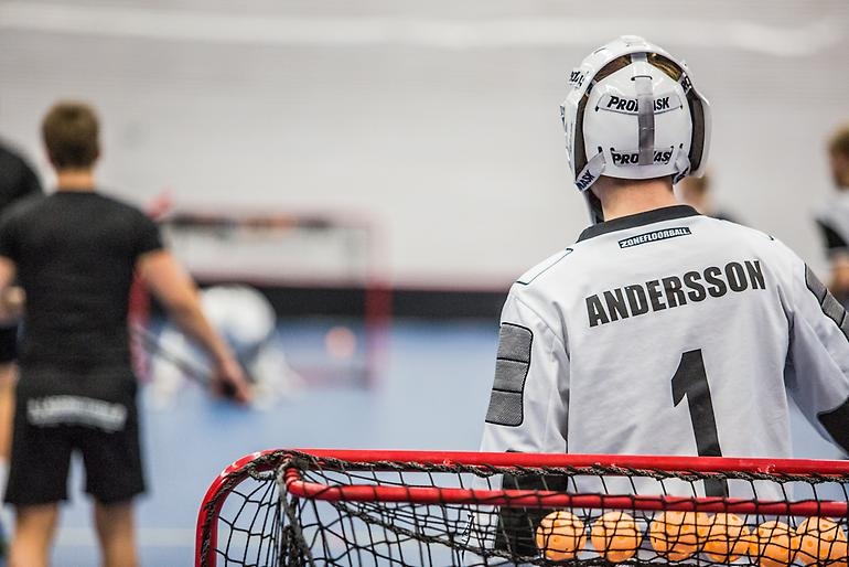 Innebandymålvakt har bra blick över spelet.